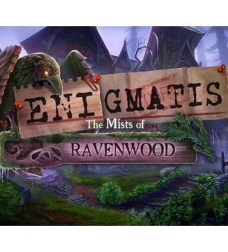 Enigmatis 2: The Mists of Ravenwood Steam Key GLOBAL